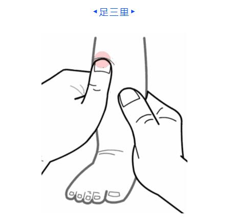 足三里