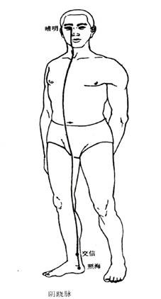 阴跷脉图解